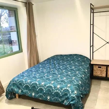 Angers, La Belle De Maine