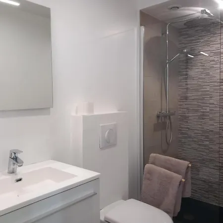 Angers, La Belle De Maine Appartement Angers