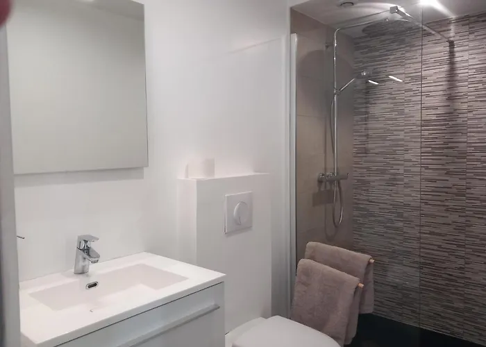 Angers, La Belle De Maine Апартаменты Анже