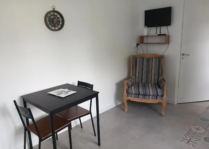 Angers, La Belle De Maine Appartement